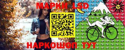 шишки Ярославль
