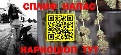 гашик Янаул