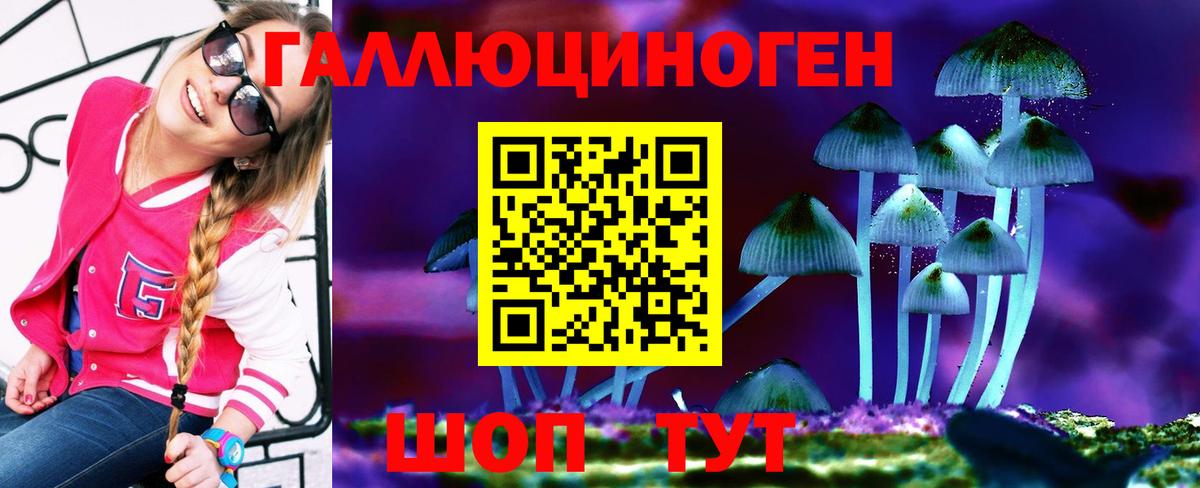 Галлюциногенные грибы мицелий  Вход с VPN  Псилоцибиновые грибы Psilocybe  Барнаул 